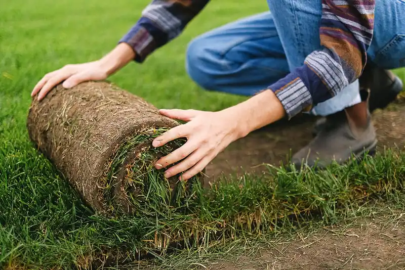 Hands gardening with plants outdoors